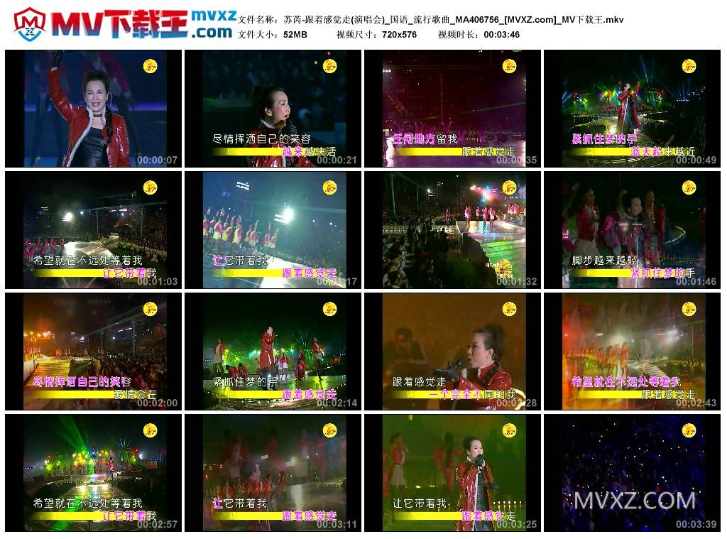 苏芮-跟着感觉走(演唱会)_国语_流行歌曲_MA406756